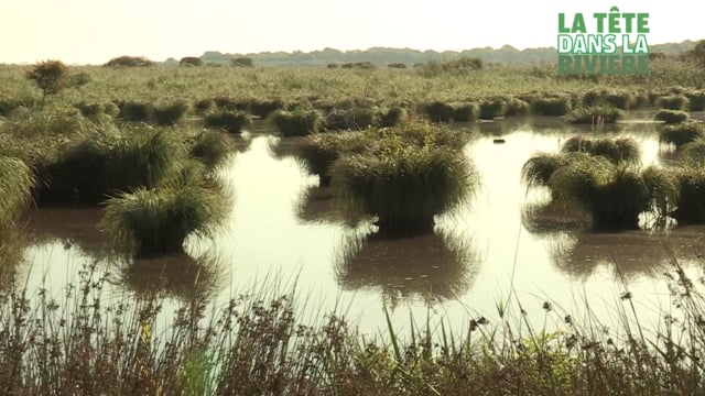 8000 ans en Brière