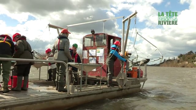 Trop de sable dans la rivière ?