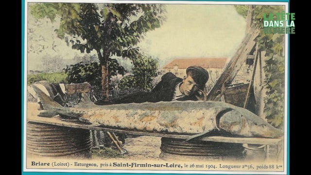 Archéozoologie Archéobiologie